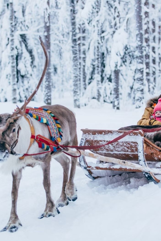 Reindeer Farm Visit with Sleigh Ride - Stories, snacks, and the kota stop