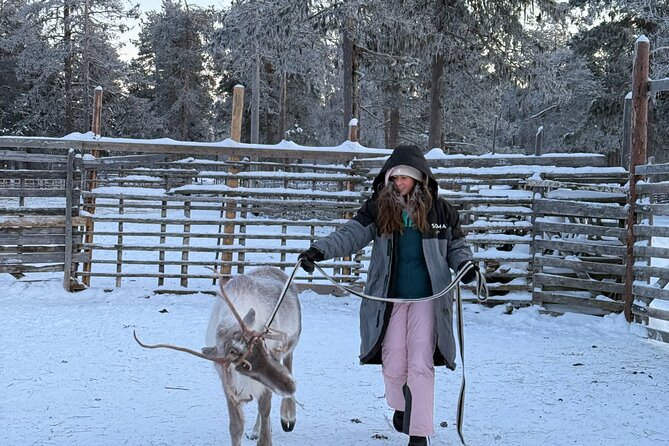 Reindeer Husbandry with Snowmobile Sleigh Ride and Cabin Lunch - Clothing: Jackets and Mittens Are Included, Trousers Are Not