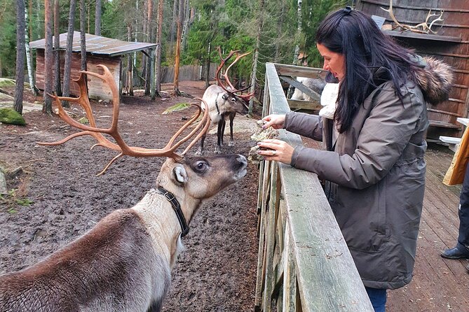 Reindeer Park Adventure - From Helsinki streets to Nuuksio forest