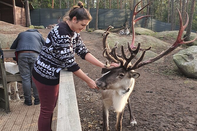 Reindeer Park Adventure - What the three hours feel like