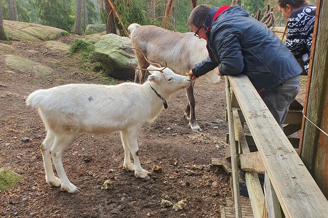 Reindeer Park Adventure - Booking, weather, and useful planning notes