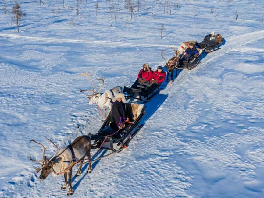 Reindeer Safari at a 200-Year-Old Farm & Long Sled Ride - Arriving at a 200-Year-Old Reindeer Farm