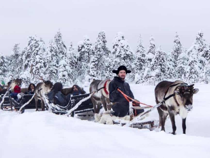 Reindeer Safari at a 200-Year-Old Farm & Long Sled Ride - Is the $260 Price Worth It?