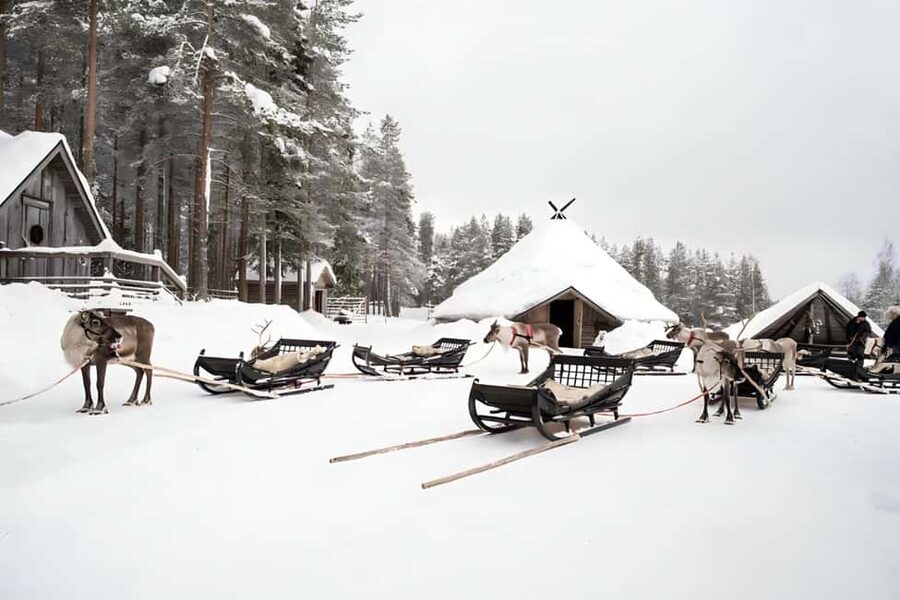 Reindeer Safari at a 200-Year-Old Farm & Long Sled Ride - Who Will Enjoy This Tour Most?
