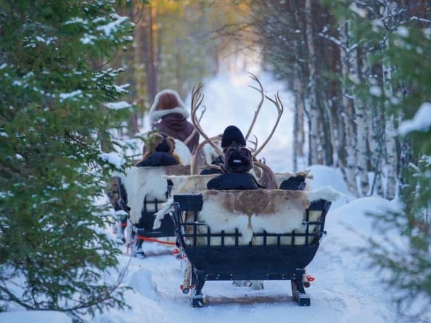 Reindeer Safari at a 200-Year-Old Farm & Long Sled Ride - How This Compares With Other Lapland Activities