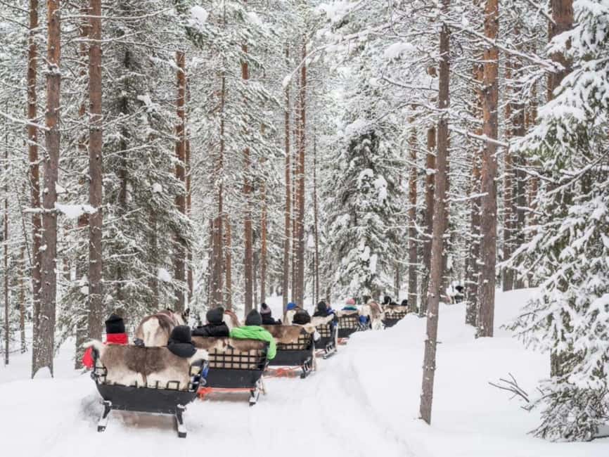 Reindeer Safari at a 200-Year-Old Farm & Long Sled Ride - Practical Preparation for the Cold