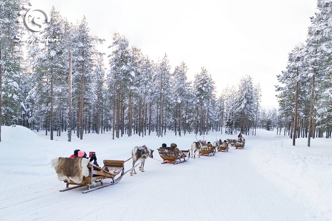Reindeer Safari in Arctic Wilderness - The farmhouse break and Finnish hospitality