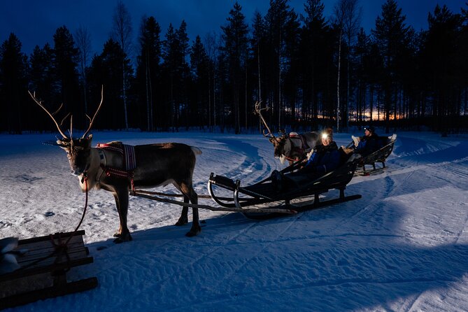 Reindeer Sleigh Ride Across the Night in Apukka Resort Rovaniemi - A slow ride into Lapland’s dark forest