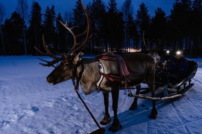 Reindeer Sleigh Ride Across the Night in Apukka Resort Rovaniemi - The campfire stop, hot drinks, and reindeer sausage