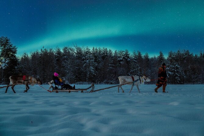 Reindeer Sleigh Ride Across the Night in Apukka Resort Rovaniemi - What the sleigh ride feels like in practice