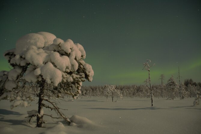 Reindeer Sleigh Ride Across the Night in Apukka Resort Rovaniemi - How the group size affects the evening