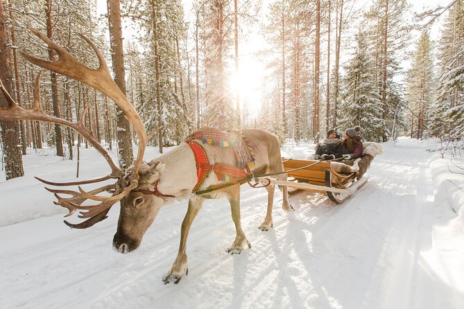 Reindeer Sleigh Ride and Farm Experience from Rovaniemi - The guide and the human side of the visit