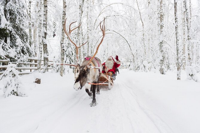 Reindeer Sleigh Ride and Farm Experience from Rovaniemi - The sleigh loop through snowy forest