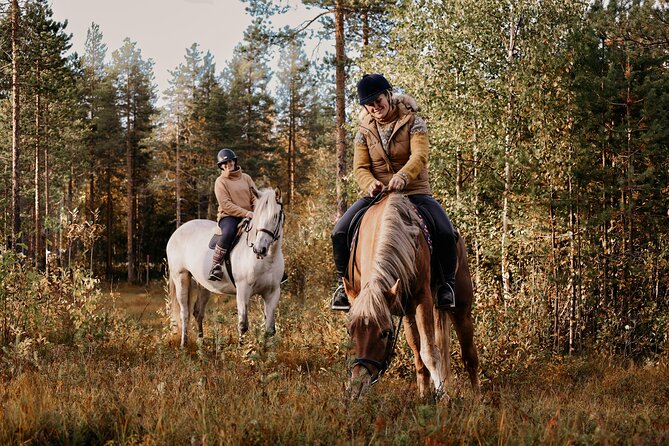 Riding Tour with Finnhorses at Santa Claus Village - Dressing for a Finnish winter ride