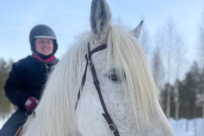Riding Tour with Finnhorses at Santa Claus Village - A one-hour snowy forest trek