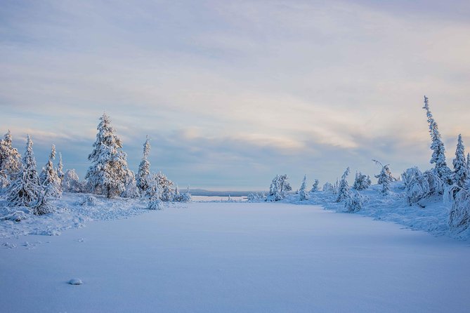 Riisitunturi wilderness adventure - The edited photos are a real part of the value
