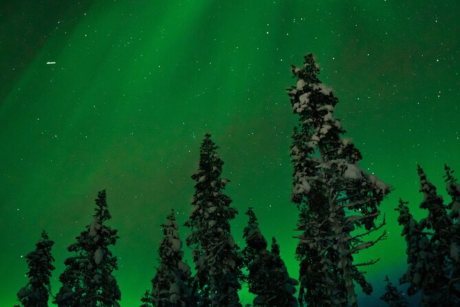 Rovaniemi 2 days Activities Package - Santa Claus Village gives you about two hours to explore