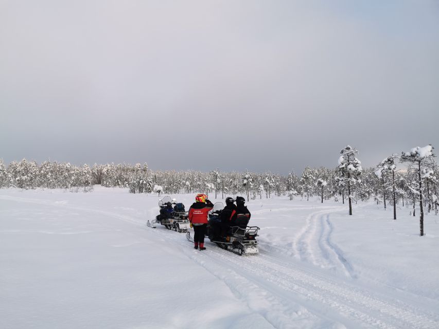 Rovaniemi: 3-Hour Snowmobile Safari in Lapland - Who will enjoy this most