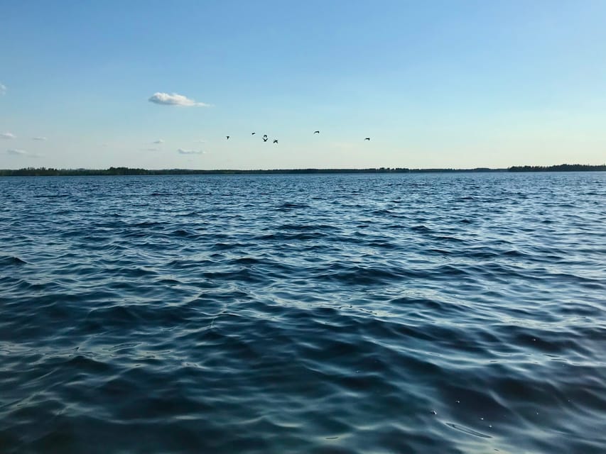 Rovaniemi: All-Day Canoe Adventure - What the canoeing feels like in practice