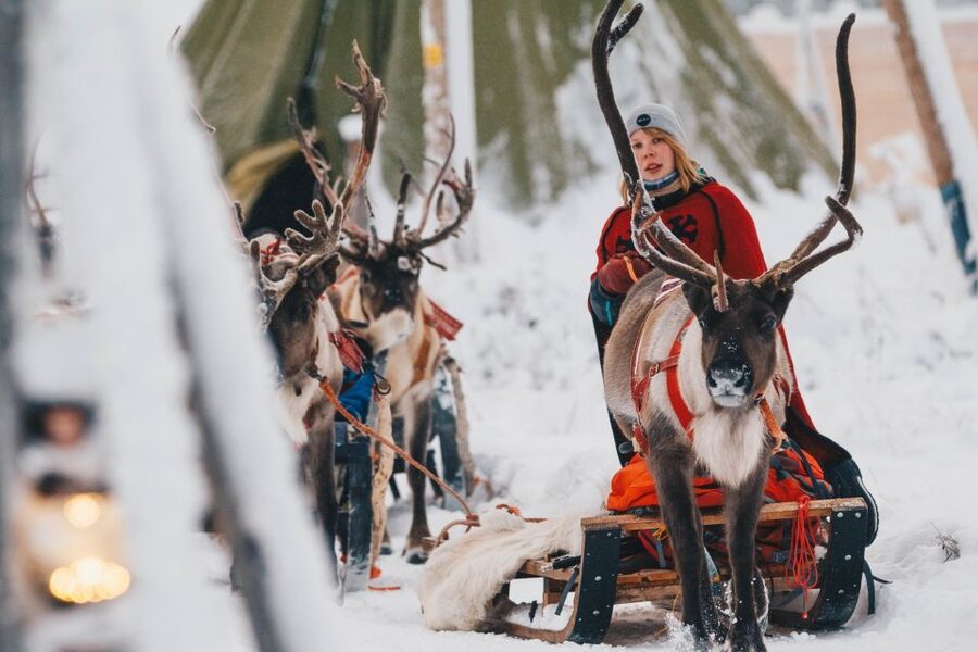 Rovaniemi: Apukka Reindeer Journey - The final call