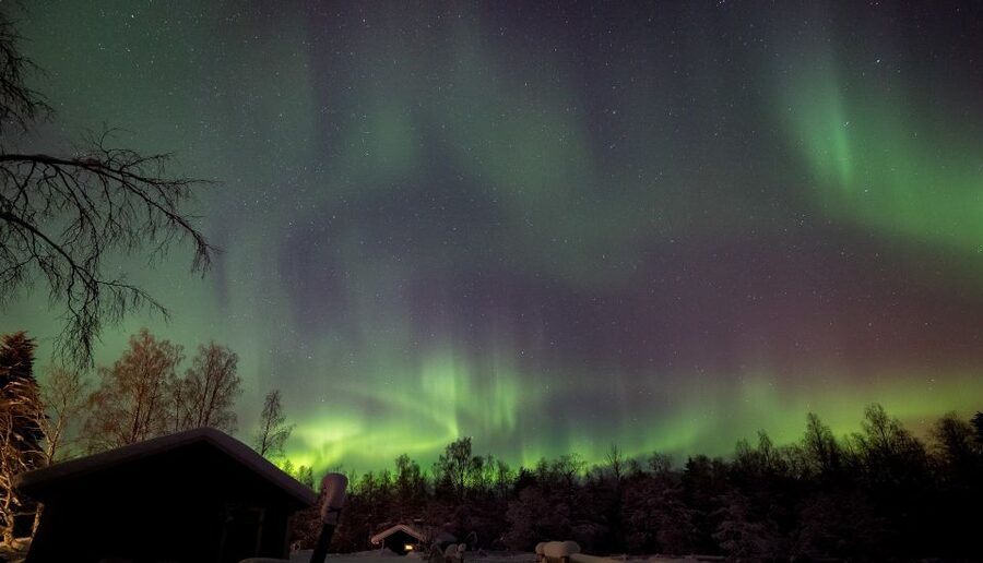 Rovaniemi: Apukka Reindeer Sleigh Ride at Night - Key points to know before you book