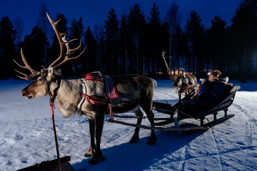Rovaniemi: Apukka Reindeer Sleigh Ride at Night - Why the bonfire stop is worth your time