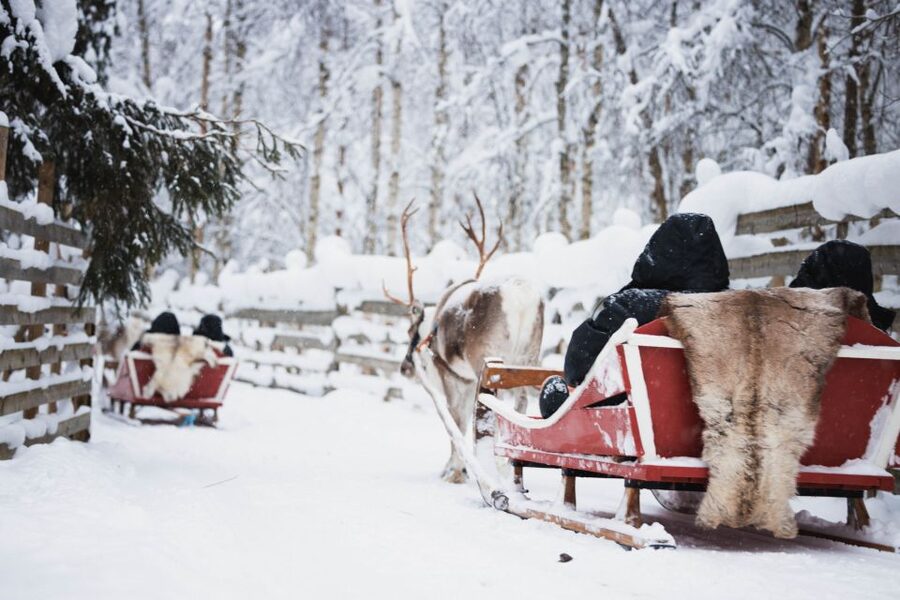 Rovaniemi: Arctic Circle Highlights by Snowmobile - Meeting the Alaskan Huskies in action