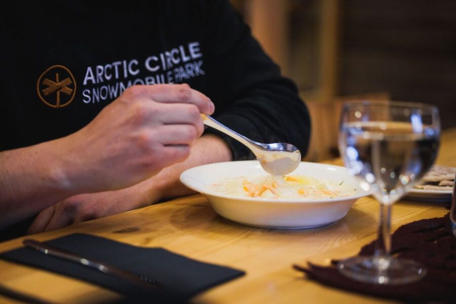 Rovaniemi: Arctic Circle Highlights by Snowmobile - Snowmobile training and the Arctic forest ride