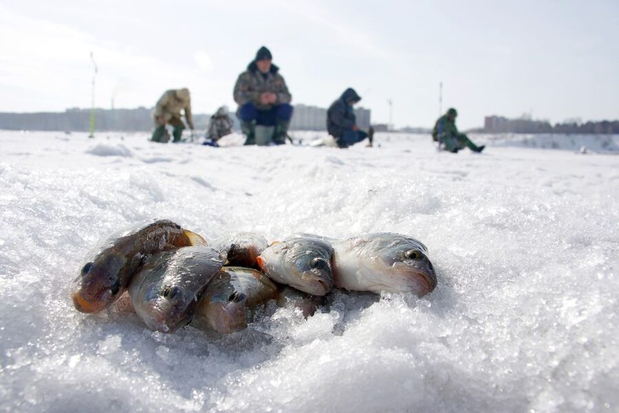 Rovaniemi: Arctic Circle Ice Fishing Experience - The campfire is more than a quick snack stop