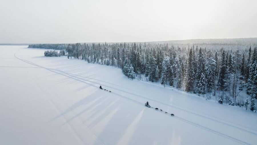 Rovaniemi: Arctic Circle Long Trail Husky Adventure - Taking control of the sled on a 7-kilometer route