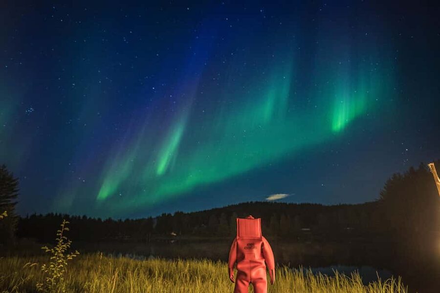 Rovaniemi: Arctic Ice Floating and Northern Lights Tour - The guide can make the difference