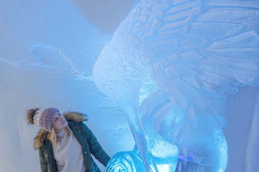 Rovaniemi: Arctic Snow Hotel Tour and Snow Sauna Experience - Is the $207 price fair?
