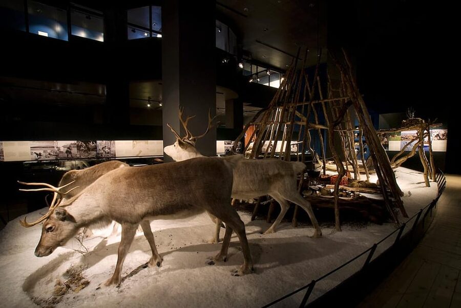 Rovaniemi: Arktikum Science Centre and Museum Entry Ticket - Learning about Sámi culture with care