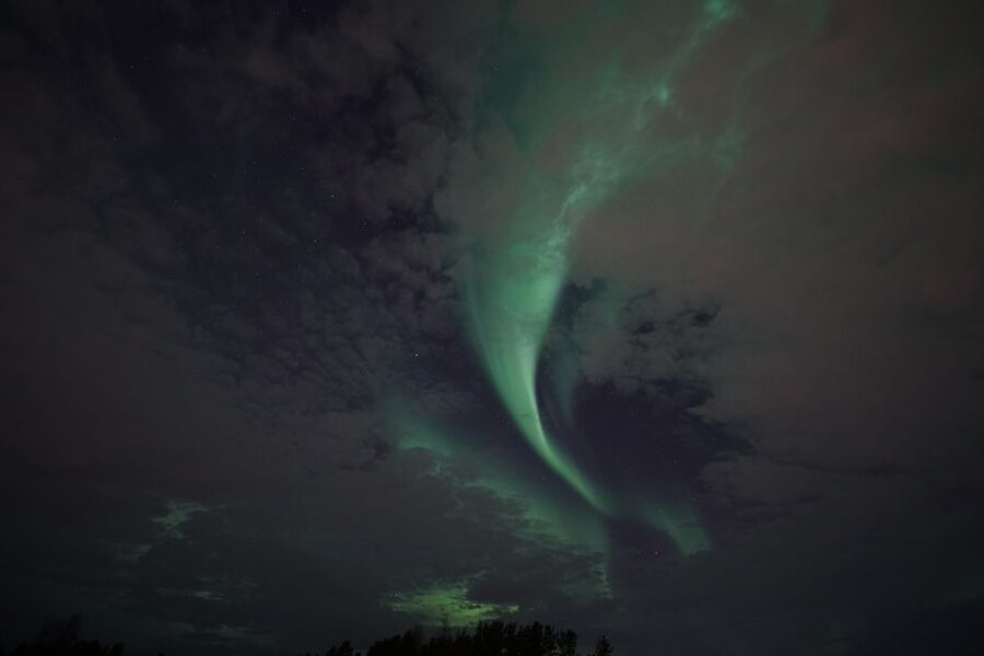 Rovaniemi: Aurora Borealis Tour - Should you book the Rovaniemi Aurora Borealis Tour?