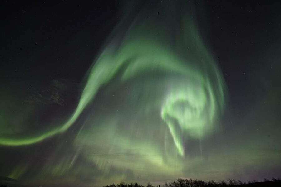 Rovaniemi: Aurora Borealis Tour - Guides make the difference