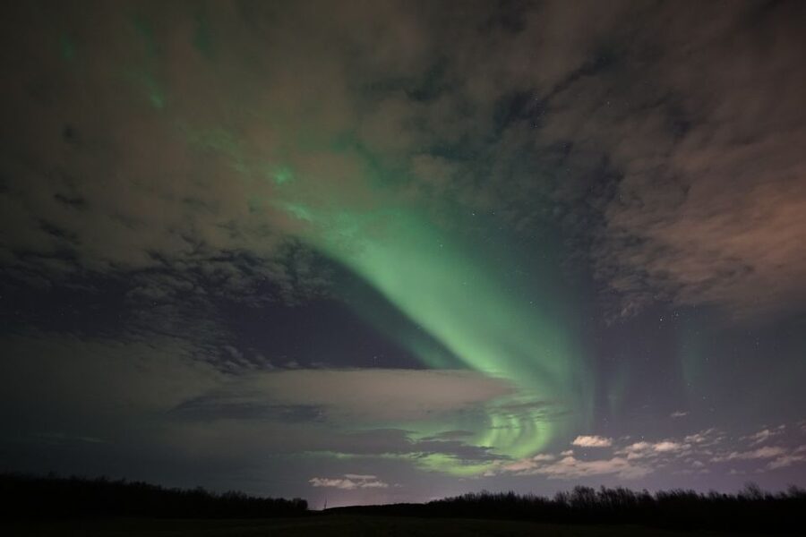 Rovaniemi: Aurora Borealis Tour - Who should book this night out?