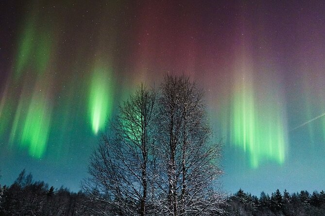 Rovaniemi: Aurora Hunt with Photograph & money back guarantee - Key points before you book