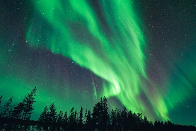 Rovaniemi: Aurora Hunt with Photograph & money back guarantee - Reading the sky and choosing the route