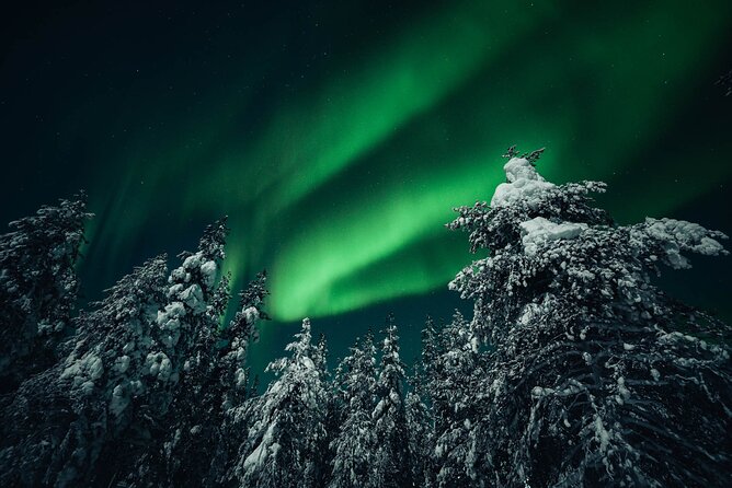 Rovaniemi: Aurora Hunt with Photograph & money back guarantee - Professional photos under the northern lights