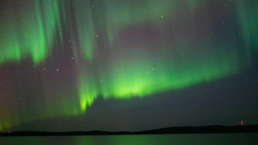 Rovaniemi: Aurora hunting and a fireside BBQ experience - What the three-hour itinerary feels like