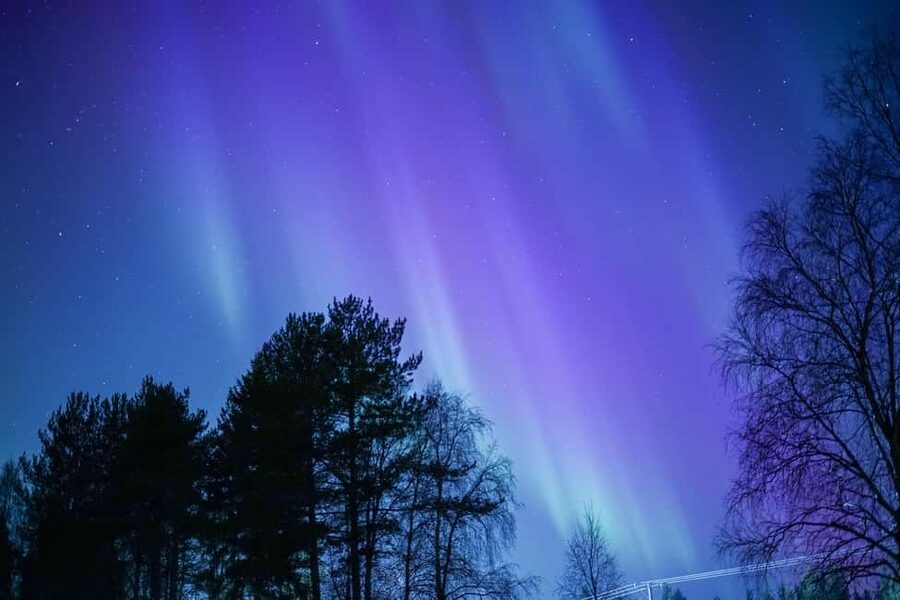 Rovaniemi: Aurora hunting and a fireside BBQ experience - Who should book this Rovaniemi aurora tour?