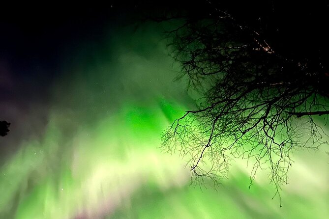 Rovaniemi: Aurora Hunting & Photography Tour - Starting at 7 pm in central Rovaniemi