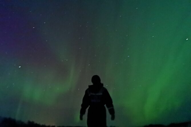 Rovaniemi: Aurora Hunting & Photography Tour - Hot berry tea and the cold-weather reality
