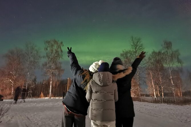 Rovaniemi: Aurora Hunting & Photography Tour - Transport, group size, and time on the road