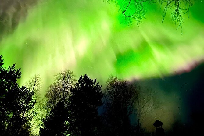 Rovaniemi: Aurora Hunting & Photography Tour - Is the $200.01 price good value?