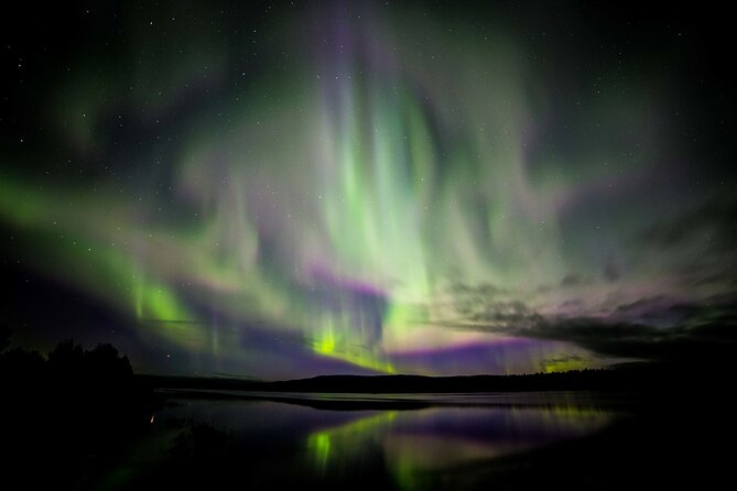 Rovaniemi Aurora Hunting Tour - Key points to know before booking