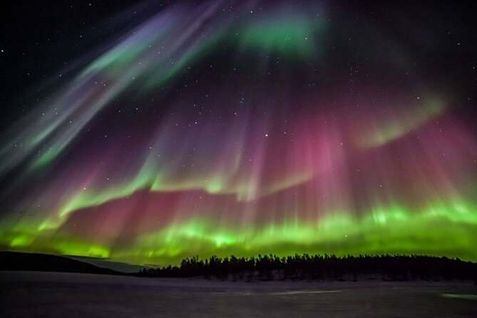 Rovaniemi Aurora Hunting Tour - Why this Aurora hunt feels different