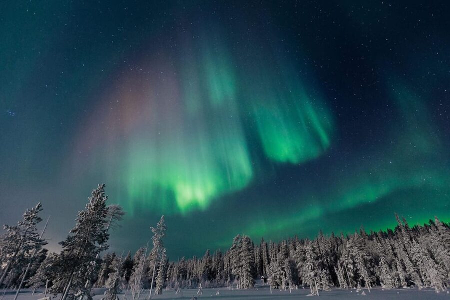 Rovaniemi: Aurora Hunting Tour in the Forest with Hot Drinks - Understanding what you are seeing
