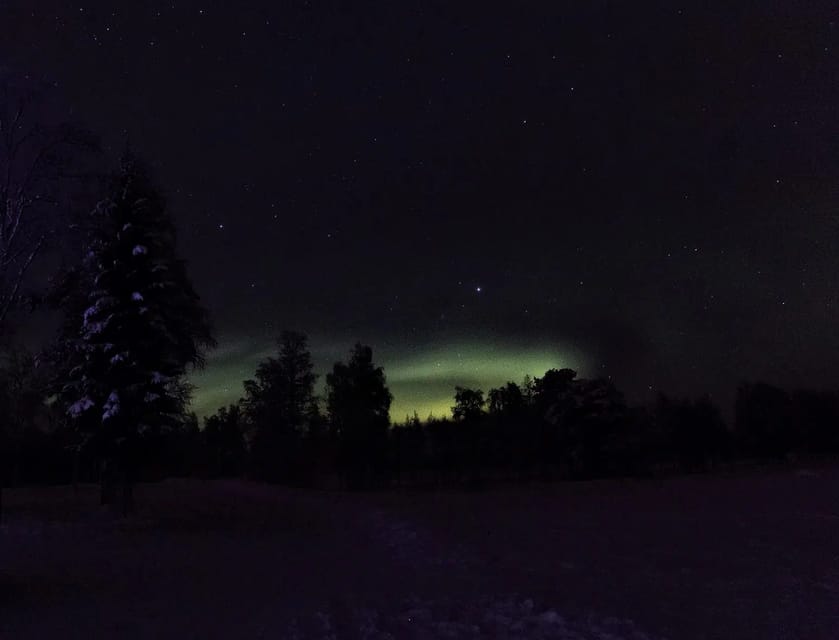 Rovaniemi: Aurora Hunting Tour in the Forest with Hot Drinks - Searching the dark forest for the aurora