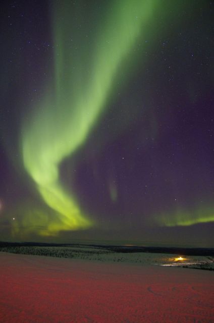 Rovaniemi: Aurora Hunting Tour with Photography by Van - What the $136 price covers